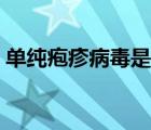 单纯疱疹病毒是什么病（单纯疱疹病毒感染）