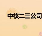 中核二三公司网址（中核二三公司官网）