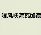 嚎风峡湾瓦加德不能飞行（嚎风峡湾瓦加德）