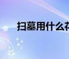 扫墓用什么花最好看（扫墓用什么花）