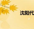 沈阳代驾公司（沈阳代驾）