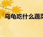 乌龟吃什么蔬菜或水果（乌龟吃什么蔬菜）