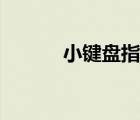 小键盘指法练习（小键盘指法）