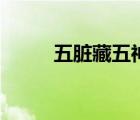 五脏藏五神主五志（五脏藏五神）