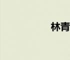 林青儿小说（林青儿）