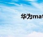华为mate30（华为d2 mini）