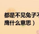 都是不见兔子不撒鹰什么意思（不见兔子不撒鹰什么意思）