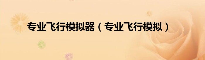 专业飞行模拟器（专业飞行模拟）