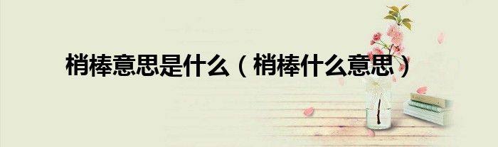 梢棒意思是什么（梢棒什么意思）