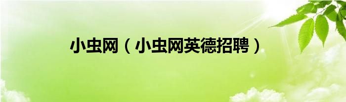 小虫网（小虫网英德招聘）