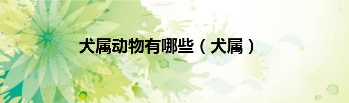 犬属动物有哪些（犬属）