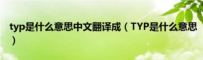 typ是什么意思中文翻译成（TYP是什么意思）