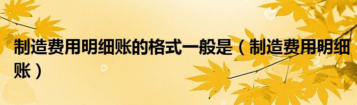 制造费用明细账的格式一般是（制造费用明细账）