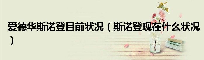 爱德华斯诺登目前状况（斯诺登现在什么状况）