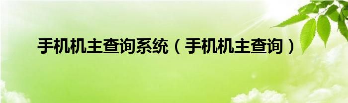 手机机主查询系统（手机机主查询）