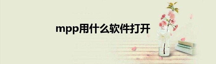 mpp用什么软件打开