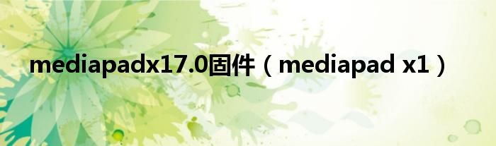 mediapadx17.0固件（mediapad x1）