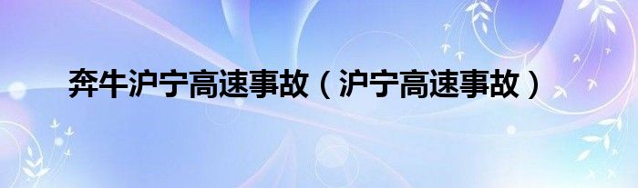 奔牛沪宁高速事故（沪宁高速事故）