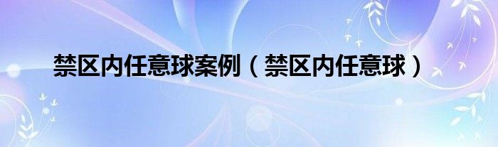 禁区内任意球案例（禁区内任意球）