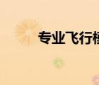 专业飞行模拟器（专业飞行模拟）