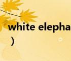 white elephant什么意思（white elephant）