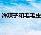 洋辣子和毛毛虫的区别（毛辣子咬了怎么办）
