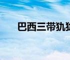 巴西三带犰狳怎么读（巴西三带犰狳）