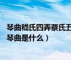 琴曲嵇氏四弄蔡氏五弄的创作者分别是（被称为 嵇氏四弄的琴曲是什么）