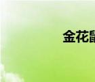 金花鼠纪录片（金花鼠）