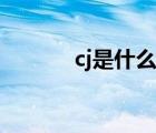 cj是什么电子品牌（cj是什么）