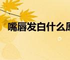 嘴唇发白什么原因女（嘴唇发白什么原因）