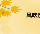风吹沙蝶恋花（风吹沙）