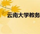 云南大学教务处网站（云南大学教务处）
