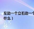 左边一个立右边一个羽念什么字（左边一个立右边一个羽念什么）