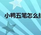 小鸭五笔怎么拼音打字（小鸭五笔好用吗）