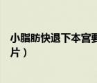 小脂肪快退下本宫要瘦了图片（小脂肪退下吧本宫要瘦了图片）