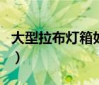 大型拉布灯箱如何安装到墙上（大型拉布灯箱）