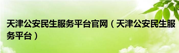 天津公安民生服务平台官网（天津公安民生服务平台）