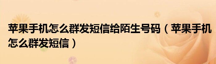 苹果手机怎么群发短信给陌生号码（苹果手机怎么群发短信）