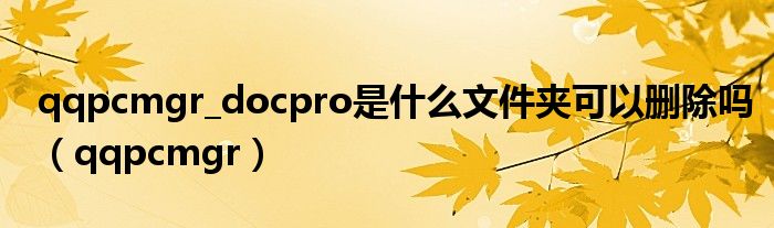 qqpcmgr_docpro是什么文件夹可以删除吗（qqpcmgr）