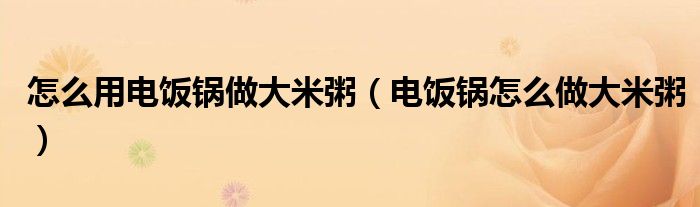 怎么用电饭锅做大米粥（电饭锅怎么做大米粥）
