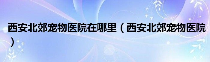 西安北郊宠物医院在哪里（西安北郊宠物医院）