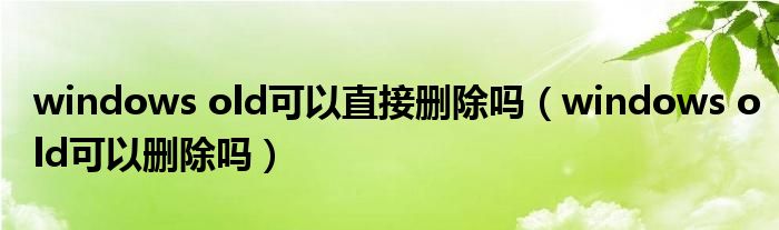 windows old可以直接删除吗（windows old可以删除吗）