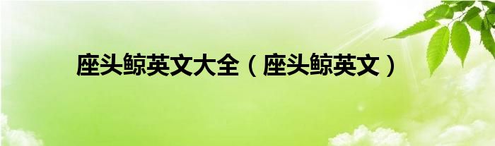 座头鲸英文大全（座头鲸英文）