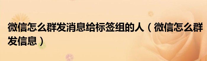 微信怎么群发消息给标签组的人（微信怎么群发信息）