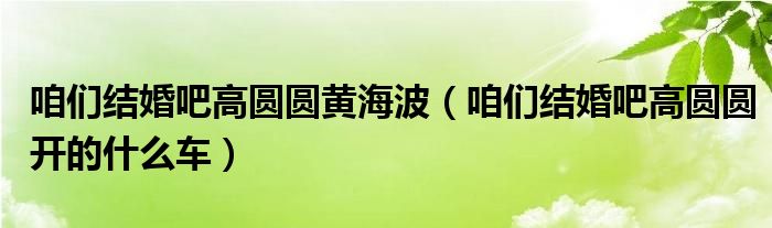 咱们结婚吧高圆圆黄海波（咱们结婚吧高圆圆开的什么车）