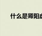 什么是肾阳虚的表现（什么是肾阳虚）