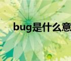 bug是什么意思中文（bug是什么意思）