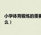 小学体育锻炼的重要性（小学体育锻炼应该遵循的规律是什么）