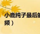 小鹿纯子最后的绝招（小鹿纯子的幻影旋风视频）